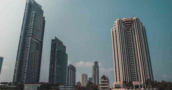 外国语单招大数据的行业文章