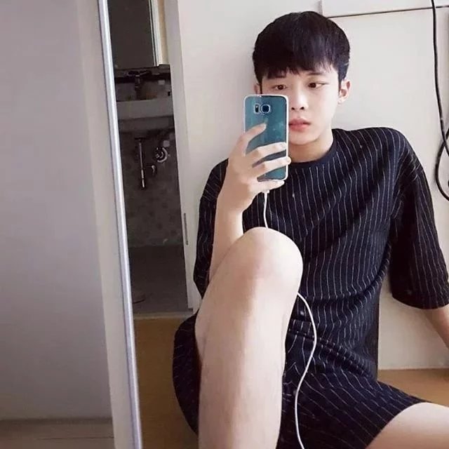 解钧树聪