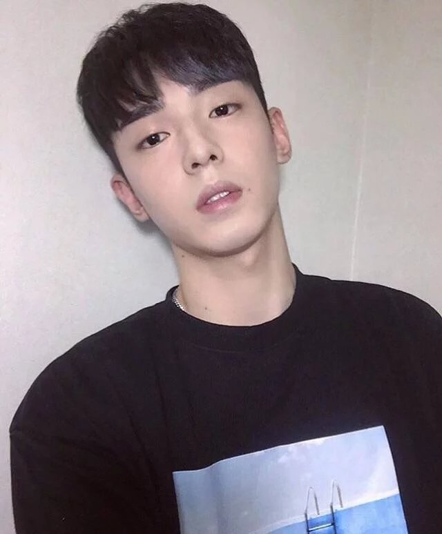 项德利舒