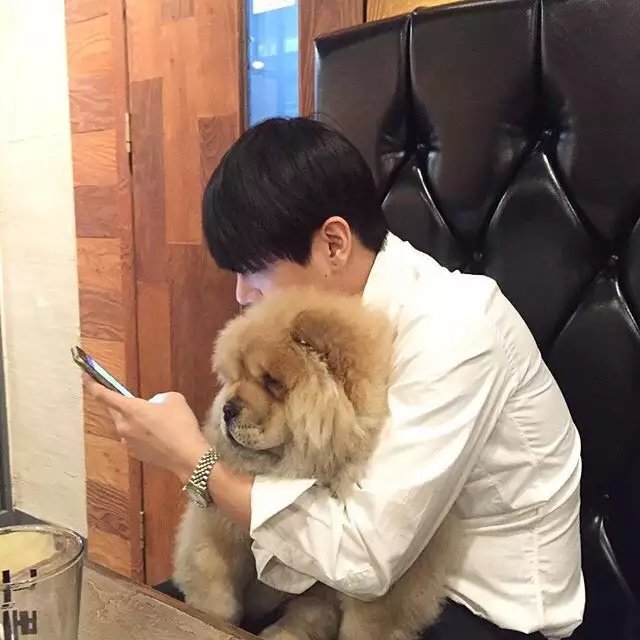 卞荷有蓉