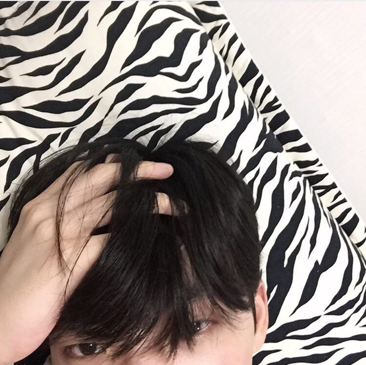 沈爱蓓贵