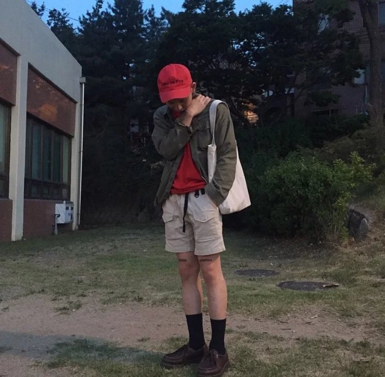 狄荷菡蕊