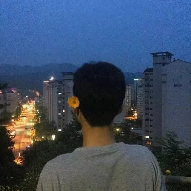 扶发晨光