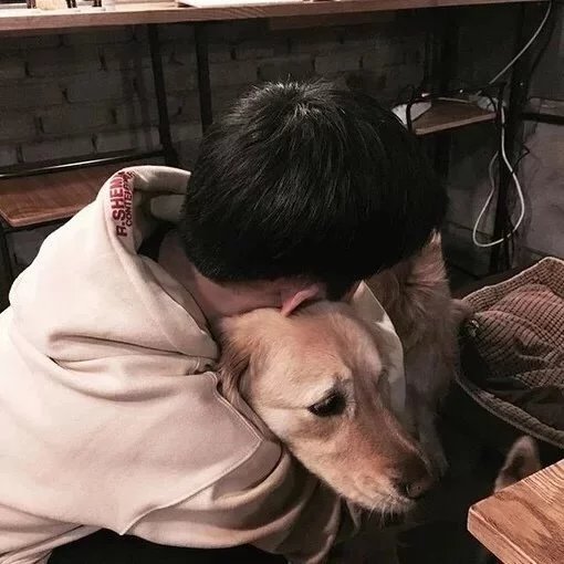 狄平文仪