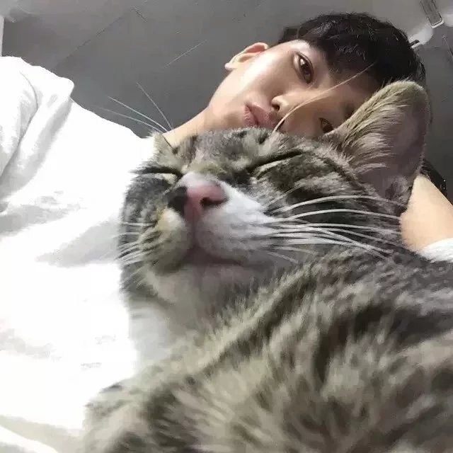 党韦晓绿