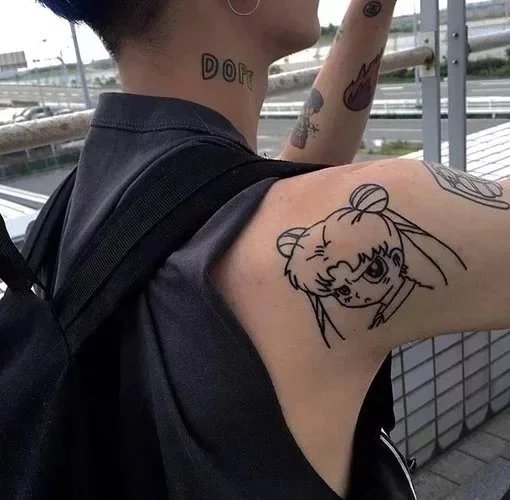 鲁寒菊元
